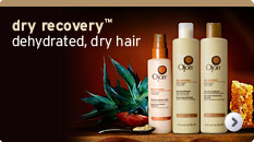 Ojon dry recovery